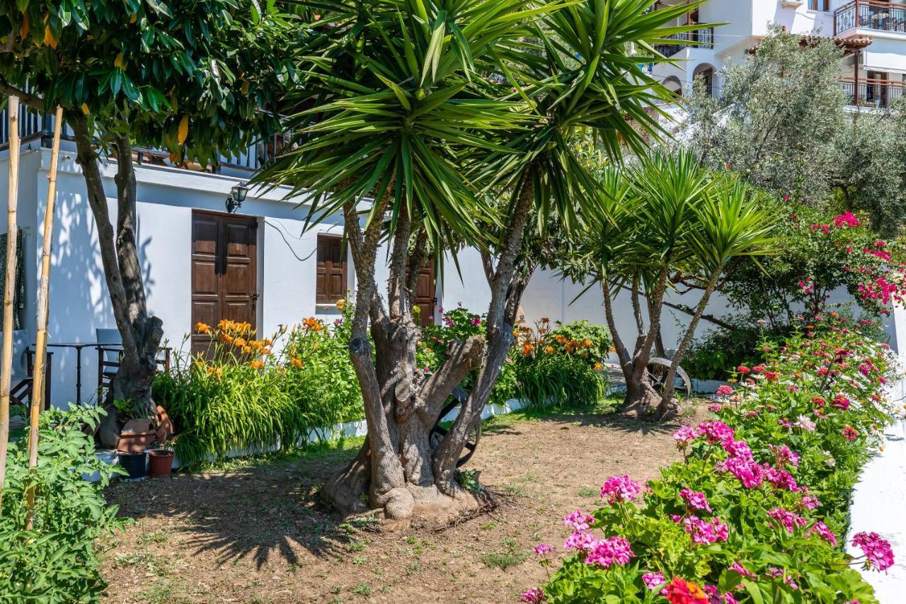 Ourania Apartment Skopelos Exterior foto